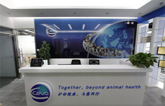 戴工装饰作品--ceva